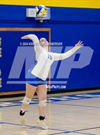 Photo from the gallery "Monache @ Exeter"