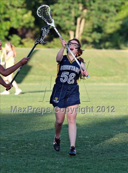 Thumbnail 1 in Seymour vs Knoxville Cheetahs photogallery.