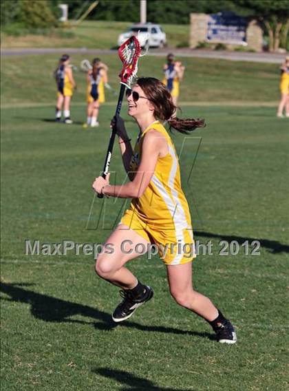 Thumbnail 2 in Seymour vs Knoxville Cheetahs photogallery.