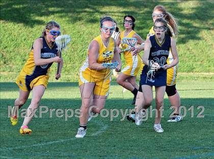 Thumbnail 1 in Seymour vs Knoxville Cheetahs photogallery.