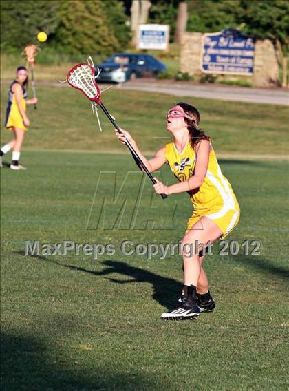 Thumbnail 3 in Seymour vs Knoxville Cheetahs photogallery.