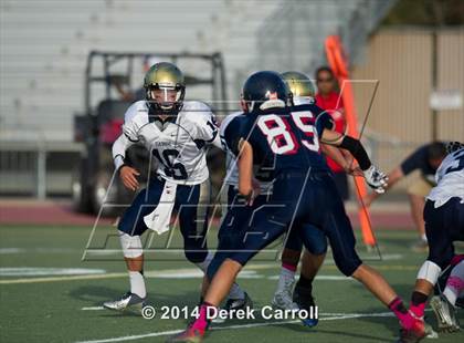 Thumbnail 1 in Elk Grove @ Pleasant Grove photogallery.