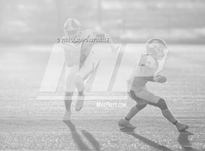 Thumbnail 3 in Ponder @ Bonham photogallery.
