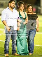 Photo from the gallery "Ponder @ Bonham"