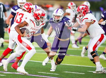 Thumbnail 1 in Ponder @ Bonham photogallery.