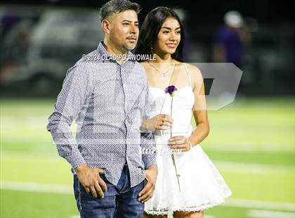 Thumbnail 3 in Ponder @ Bonham photogallery.