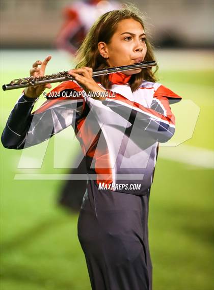 Thumbnail 1 in Ponder @ Bonham photogallery.