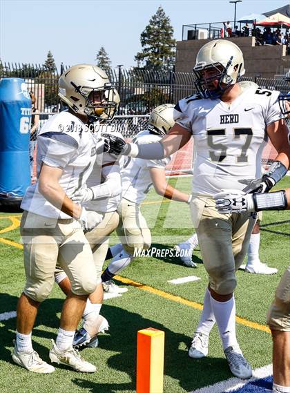 Thumbnail 3 in Elk Grove @ Serra photogallery.