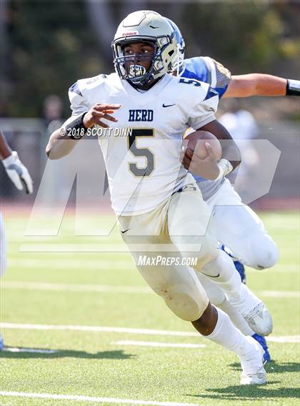Thumbnail 1 in Elk Grove @ Serra photogallery.