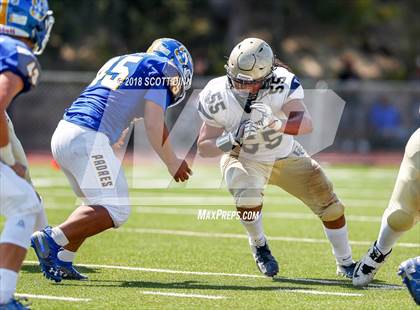 Thumbnail 1 in Elk Grove @ Serra photogallery.
