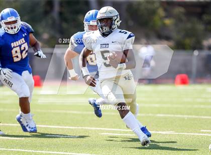 Thumbnail 3 in Elk Grove @ Serra photogallery.