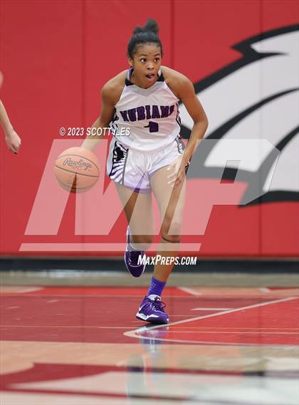 Thumbnail 3 in Fairbanks vs Africentric Early College (OHSAA D3 District Final) photogallery.