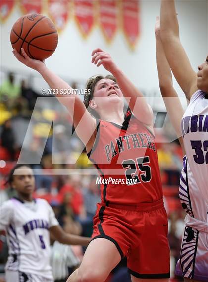 Thumbnail 3 in Fairbanks vs Africentric Early College (OHSAA D3 District Final) photogallery.