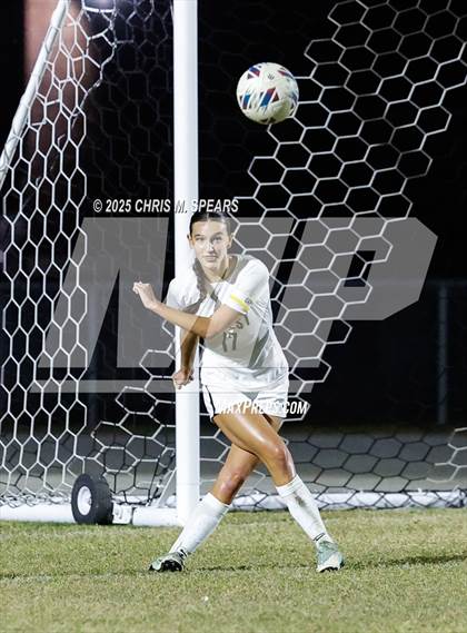 Thumbnail 1 in Vanguard @ Forest photogallery.