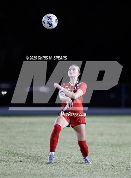 Thumbnail 1 in Vanguard @ Forest photogallery.