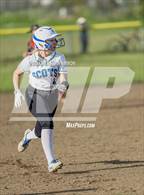 Photo from the gallery "South Albany @ McKay"