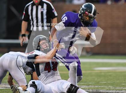 Thumbnail 2 in Tompkins @ Morton Ranch photogallery.