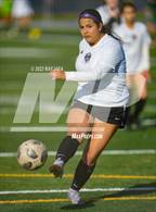 Photo from the gallery "Twelve Bridges vs. Armijo (Inderkum Tournament)"