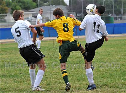 Thumbnail 2 in Rio Americano @ Mira Loma photogallery.