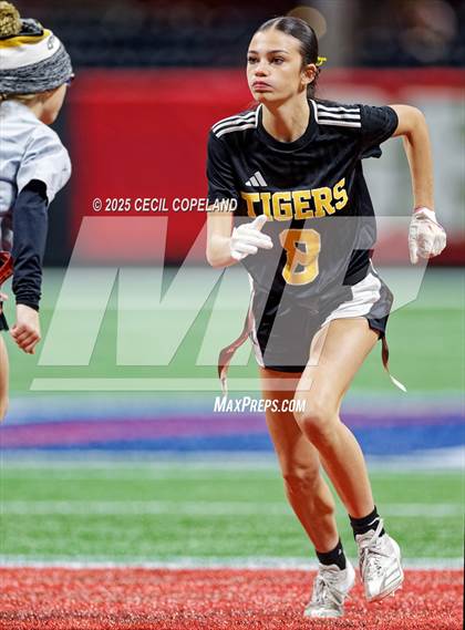 Thumbnail 1 in Harris County vs. Washington County (GHSA Division 1 Championship) photogallery.