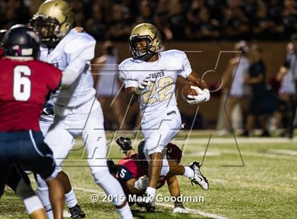 Thumbnail 2 in Tompkins vs. Foster photogallery.
