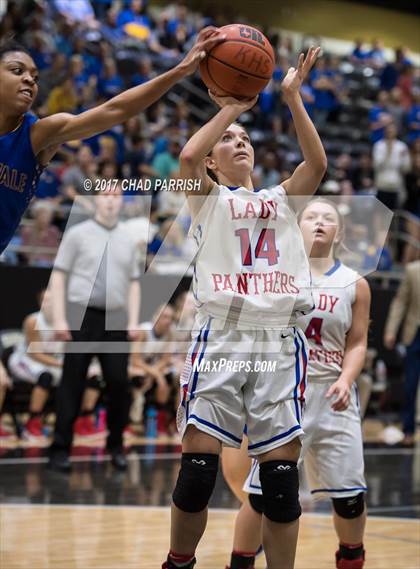 Thumbnail 1 in Sunnyvale vs. Alba-Golden (UIL 3A Regional Quarterfinal Playoff) photogallery.