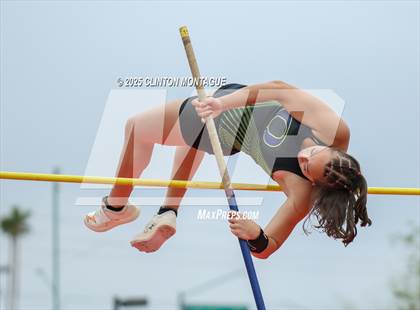 Thumbnail 2 in Devon Allen Invitational (Pole Vault) photogallery.