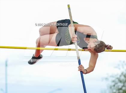 Thumbnail 3 in Devon Allen Invitational (Pole Vault) photogallery.