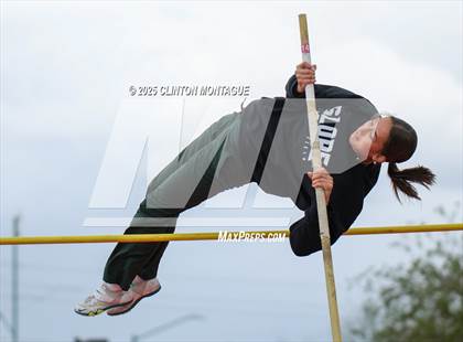 Thumbnail 1 in Devon Allen Invitational (Pole Vault) photogallery.
