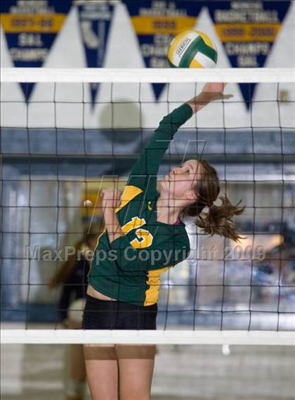 Thumbnail 3 in Hilmar @ Central Catholic photogallery.