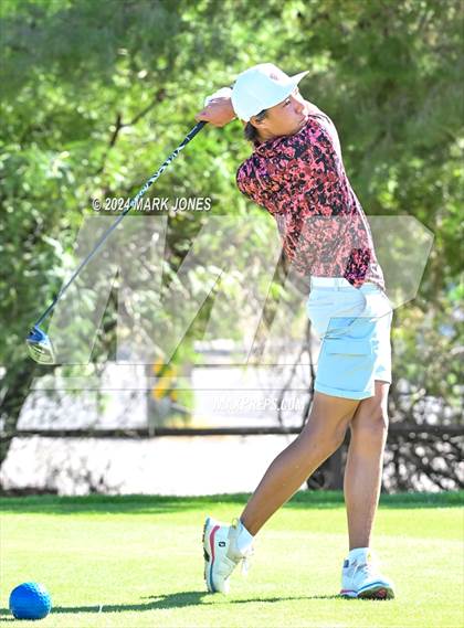 Thumbnail 1 in AIA D-II Finals photogallery.