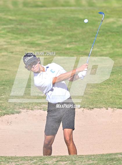 Thumbnail 1 in AIA D-II Finals photogallery.