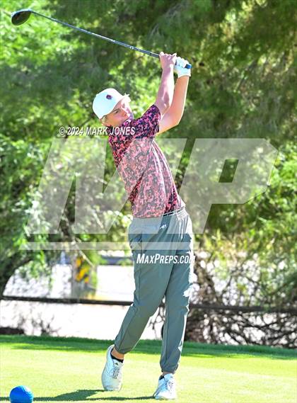 Thumbnail 1 in AIA D-II Finals photogallery.