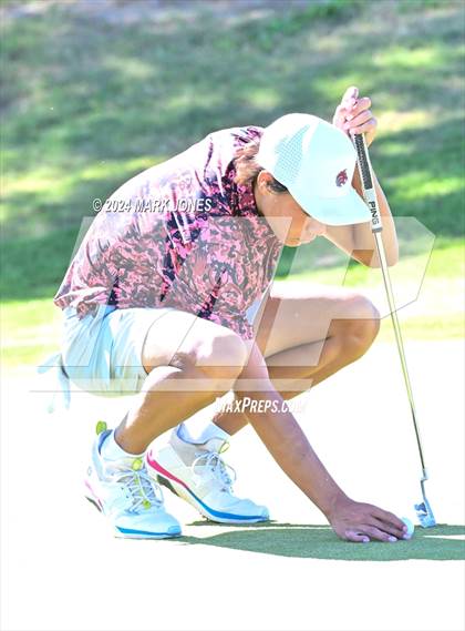 Thumbnail 1 in AIA D-II Finals photogallery.