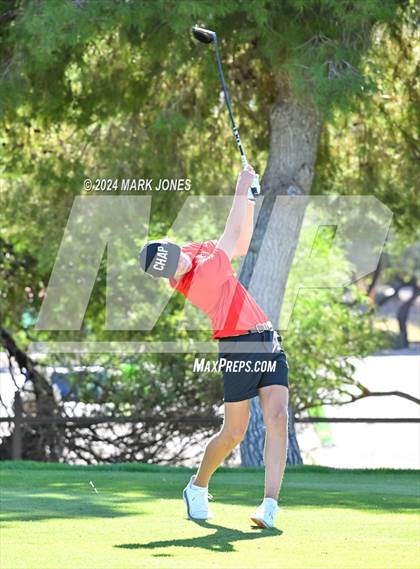 Thumbnail 1 in AIA D-II Finals photogallery.