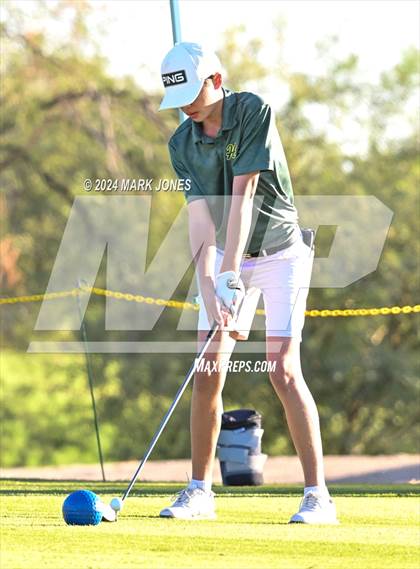 Thumbnail 3 in AIA D-II Finals photogallery.