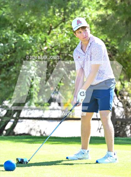 Thumbnail 1 in AIA D-II Finals photogallery.