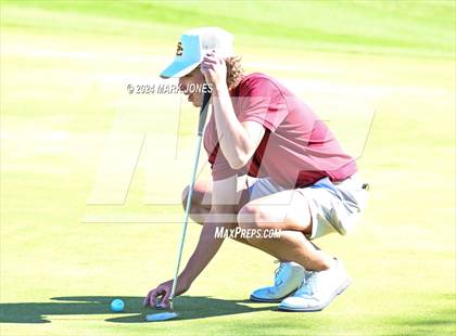 Thumbnail 1 in AIA D-II Finals photogallery.