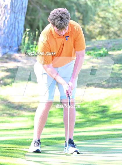 Thumbnail 3 in AIA D-II Finals photogallery.