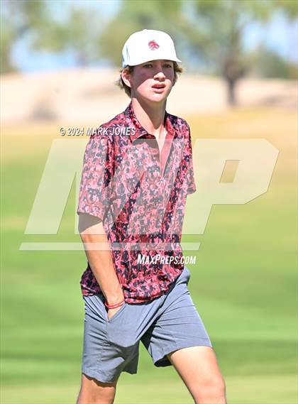 Thumbnail 1 in AIA D-II Finals photogallery.