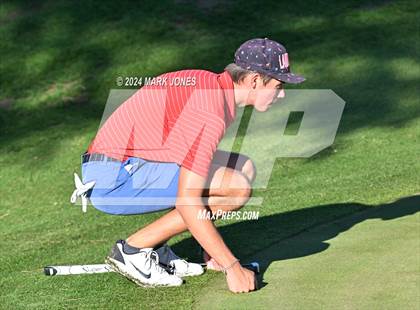 Thumbnail 1 in AIA D-II Finals photogallery.