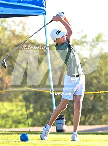 Thumbnail 1 in AIA D-II Finals photogallery.