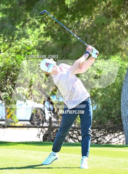 Thumbnail 1 in AIA D-II Finals photogallery.