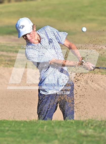 Thumbnail 1 in AIA D-II Finals photogallery.