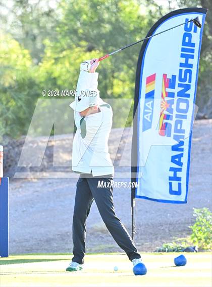 Thumbnail 3 in AIA D-II Finals photogallery.