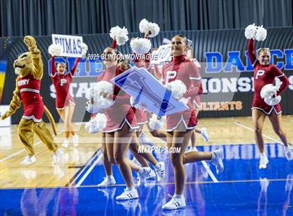 Thumbnail 3 in Perry - Game Day Dance (AIA Division I-II Final) photogallery.