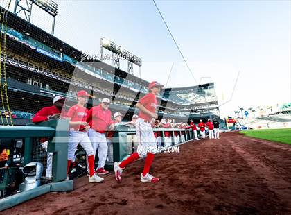 Thumbnail 3 in Capuchino vs Burlingame (Oracle Park) photogallery.