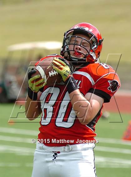 Thumbnail 1 in Cromwell @ Coginchaug Regional photogallery.