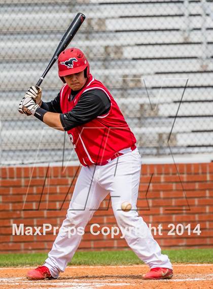 Thumbnail 1 in North Shore vs Alvin photogallery.