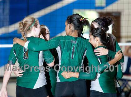 Thumbnail 3 in Pitman @ Beyer photogallery.